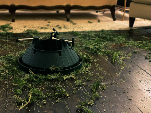 Episode 24: Robotic Vacuum Cleaners and Christmas Chaos