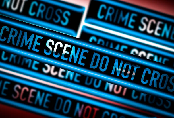 February 2026: New Documentaries and True-Crime Titles Across Streaming Platforms