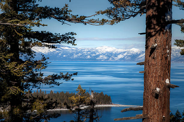 macOS Tahoe Release Preview Highlights New Design and Features