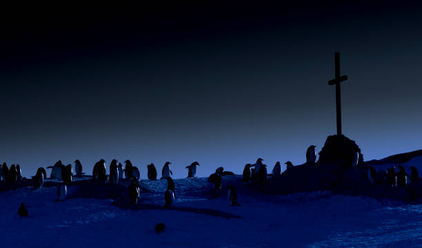 Penguin Colony: A Horror Adventure with Penguins