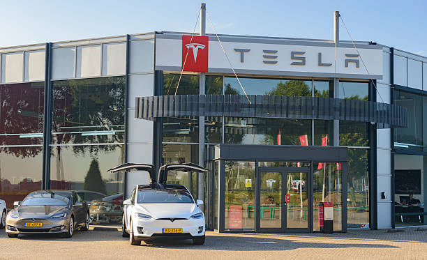 Tesla Under Investigation for Faulty Electronic Door Handles Following Entrapment Cases