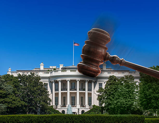 US Appeals Court Stops White House from Firing Copyright Office Director